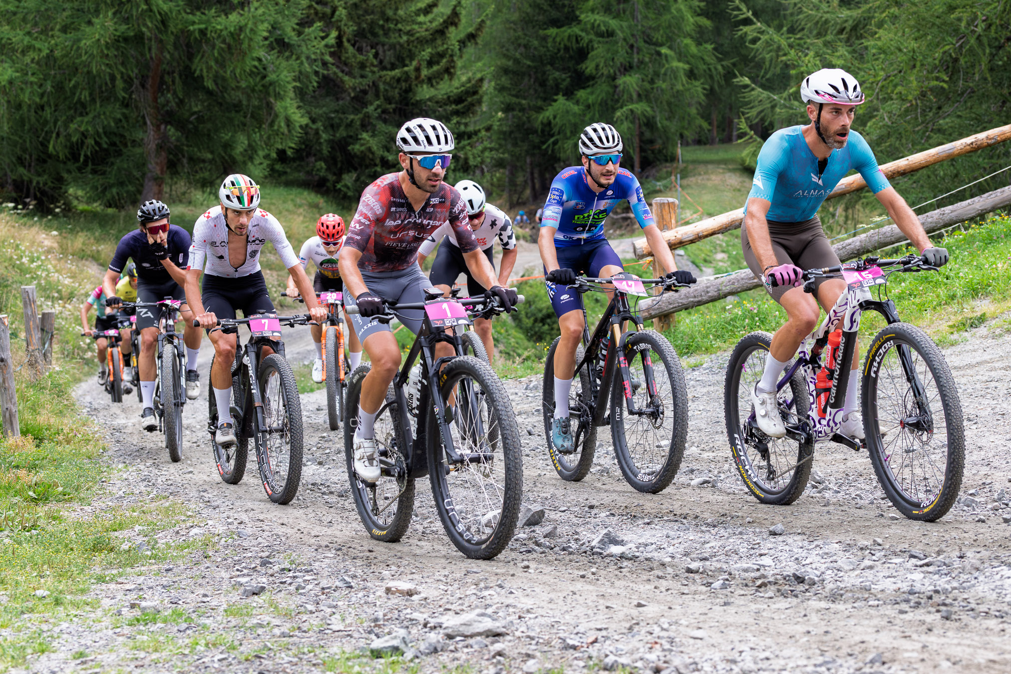 Alta Valtellina Bike Marathon 2026 01