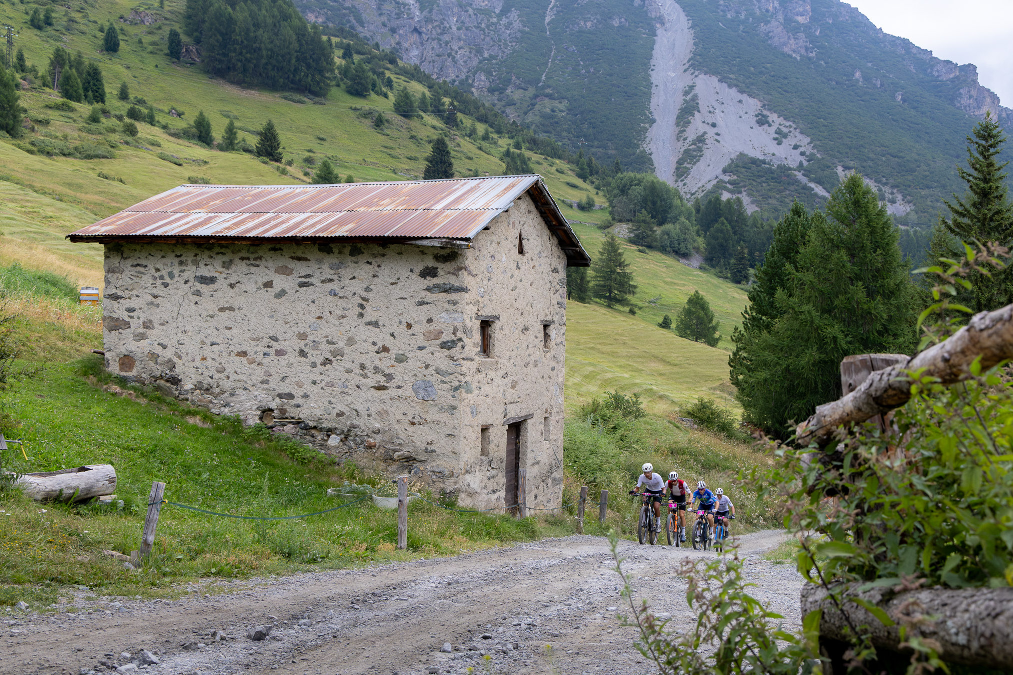 Alta Valtellina Bike Marathon 2026 02
