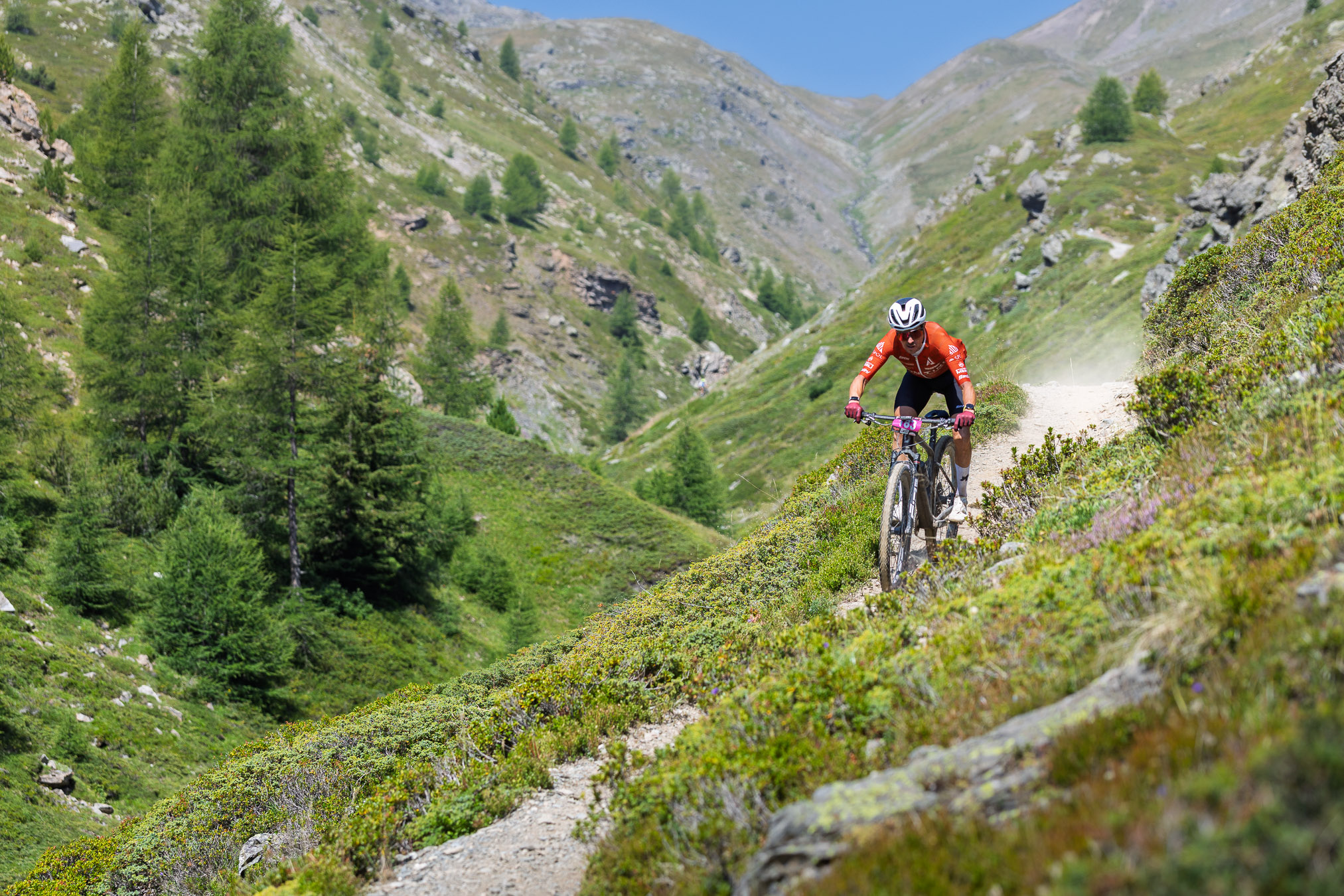 Alta Valtellina Bike Marathon 2026 18