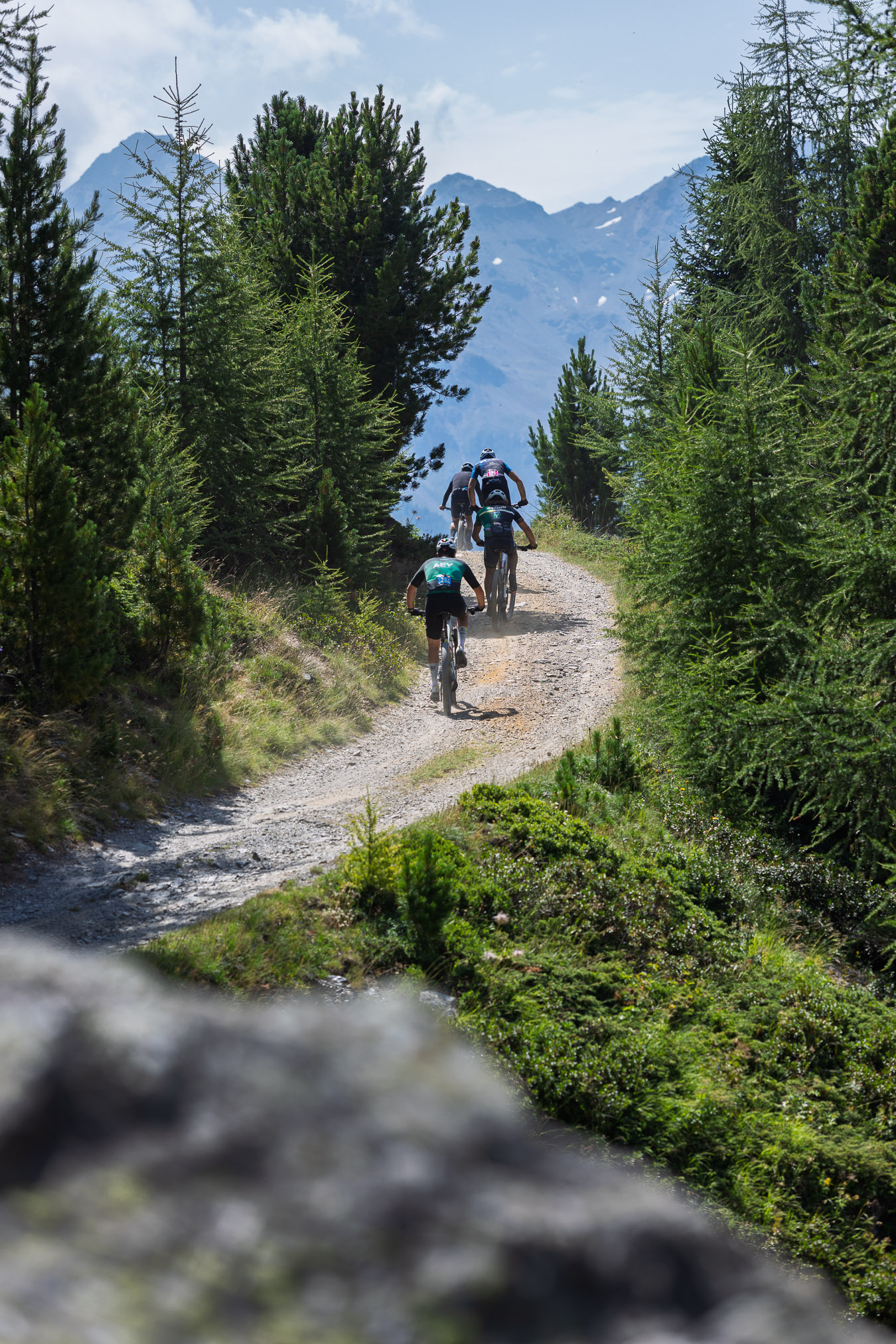 Alta Valtellina Bike Marathon 2026 27